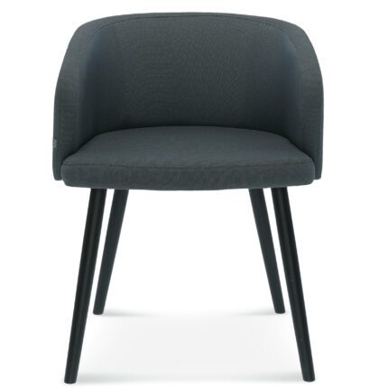 famegi puidust polsterdatud tool skip