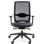 profimi nimmetoestusega võrgust seljatoega töötool veris 101sfl