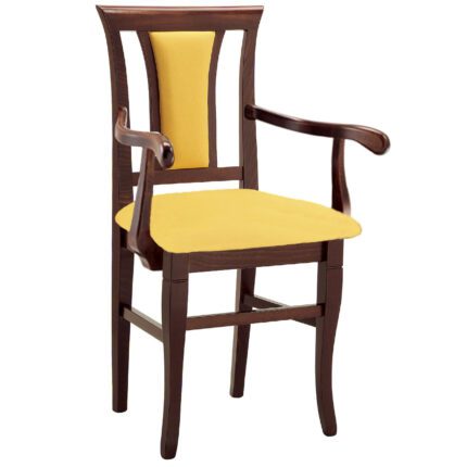 Käetugedega klassikaline puidust tool 573 P