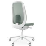 Pace 150SFL, hele raam, käetugedeta