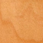 BEECH SP
